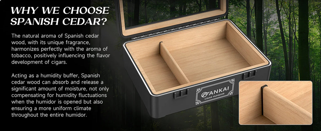 Cedar Wood Cigar Humidor with Glass Top